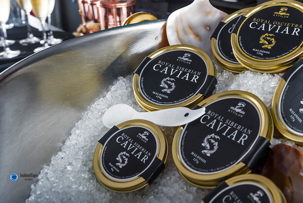 Attilus auf der Global Seafood Expo